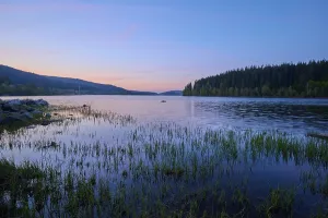 Black Forest Morning Scene Drucke: Lake, Forest, Twilight, Cloudless