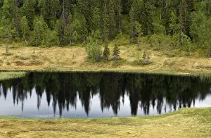 Drucke von Ein See in Norwegen See Drucke: Ein See in Norwegen.