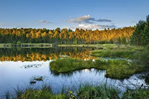 Autumn In Germany Drucke: Lake with reflection in evening light
