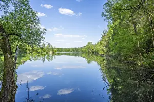 German Water Body Drucke: Lake with reflection of the landscape