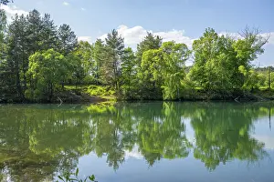 German Water Body Drucke: Lake with reflection of the landscape