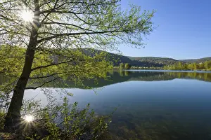 Southern Germany Countryside Photo Drucke: Lake with reflective landscape and tree in spring