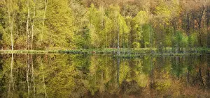 Thuringia Lake Drucke: Lake in spring, forest reflected on the shore