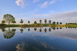 Germany Historic Landmark Drucke: Lake in spring with row of trees and reflection