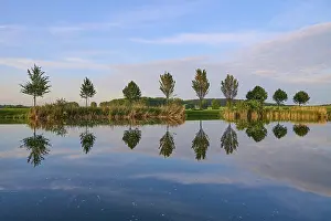 Germany Historic Landmark Drucke: Lake in spring with row of trees and reflection
