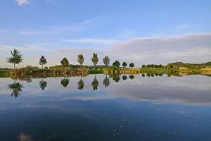 Thuringia Landscape Photography Drucke: Lake in spring with row of trees and reflection