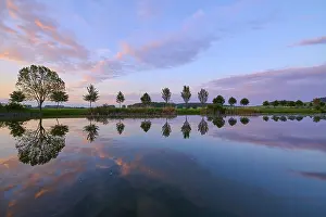 Evening Sun In Germany Drucke: Lake in spring with row of trees and reflection at sunset
