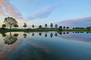 Thuringia Germany Landscape Photography Drucke: Lake in spring with row of trees and reflection at sunset