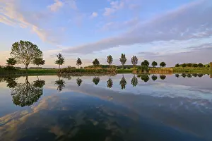 Evening Light Landscape Photo Drucke: Lake in spring with row of trees and reflection at sunset