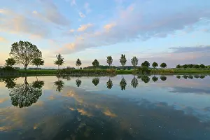 Thuringia Lake Drucke: Lake in spring with row of trees and reflection at sunset