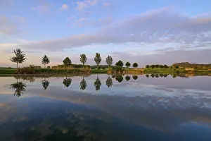 Thuringia Lake Drucke: Lake in spring with row of trees and reflection at sunset