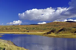 Autumn In The UK Drucke: Lake surrounded by rolling hills