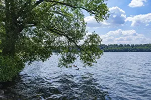 Bilder Datiert 6. Juni 2024: Am Ufer des Sees mit hängenden Zweigen eines Baumes.