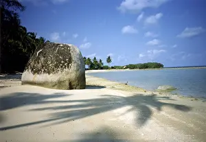 Palm Tree Beach Drucke: Lamai beach