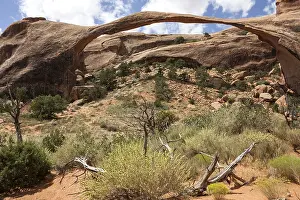 Utah USA Landmark Drucke: Landscape Arch in Devil's Garden