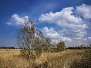 Blue Cloudy Sky Germany Drucke: Landscape with blue cloudy sky