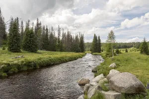 Bohemian Forest Landscape Drucke: Landscape in the Bohemian Forest