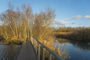 De Deelen Landscape Conservation Area Drucke: Landscape with bridge in the evening light