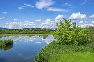 Upper Palatinate Scenery Drucke: Landscape of Danubia river with reflection of the landscape and Clouds