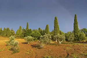Colourful European Landscapes Drucke: Landscape in the evening light