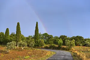 Deserted Countryside Views Drucke: Landscape in the evening light