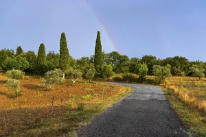 Deserted Countryside Views Drucke: Landscape in the evening light
