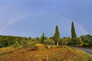 Sunset In The Countryside Drucke: Landscape in the evening light