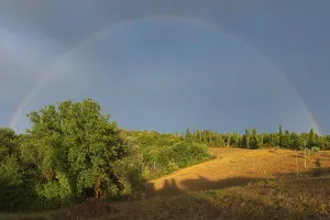 Colourful European Landscapes Drucke: Landscape in the evening light