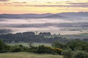 Siena Province Scenery Drucke: Landscape with fields and forest in fog