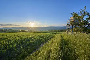 Hunting Pulpit Germany Drucke: Landscape, hunting pulpit, path