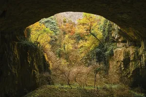 Drucke von Das Landschaftsbild im Inneren der Höhle. Ein Ökosystem mit einem Fluss und Bäumen in einem Felsen. Naturdenkmal in Bulgarien. Herbstfarben bei bewölktem Wetter Europäische Höhle Drucke: Das Landschaft innerhalb der Höhle