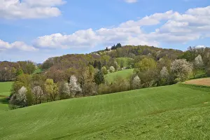 German Landscape Drucke: Landscape, low mountain range, spring
