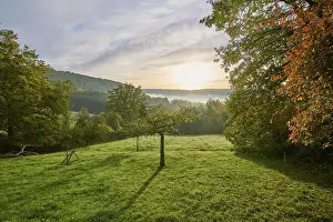 Cloudy Skies In Germany Drucke: Landscape, meadow, forest, clouds