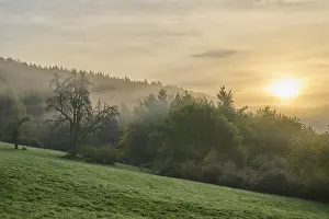 Odenwald Forest Scenery Drucke: Landscape, meadow, forest, clouds