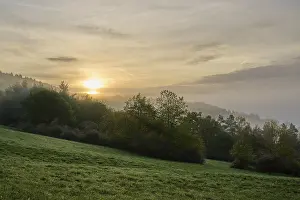 Overcast Sky In Germany Drucke: Landscape, meadow, forest, clouds