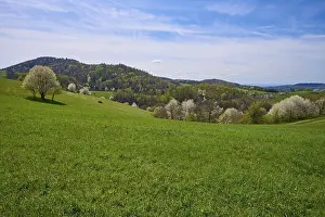 Low Mountain Range Germany Drucke: Landscape, meadow, low mountain range