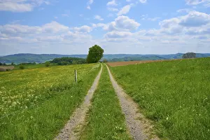 Cloudy European Landscape Drucke: Landscape, meadow path, clouds