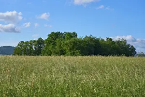 Bavaria Scenery Drucke: Landscape with meadow in spring