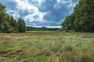 Europe Nature Photography Drucke: Landscape with meadow and trees