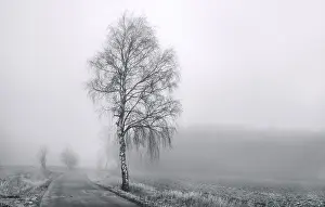 Misty Mood Photography Drucke: Landscape in the mist