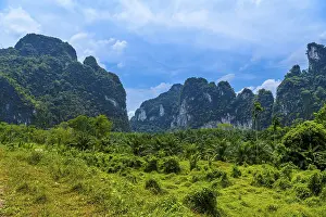 Asian Wilderness Photography Drucke: Landscape with palms and rocks cliffs