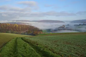Autumn Forest Germany Drucke: Landscape, path, field, forest