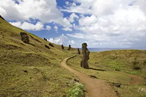 Easter Island Landscape Drucke: Landscape with path statues at Easter island