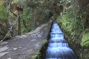 Madeira Portugal Landscape Drucke: Landscape, Rabacal excursion area