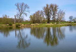 Spring In Germany Drucke: Landscape on the river Oder in spring