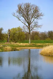 Landscape Photography Germany Drucke: Landscape on the river Oder in spring
