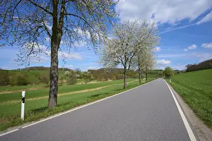 Hesse Countryside Scenery Drucke: Landscape, road, sky, low mountain range