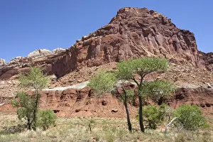 Eroded Rock Stratum Drucke: Landscape and rock formations at Fruita