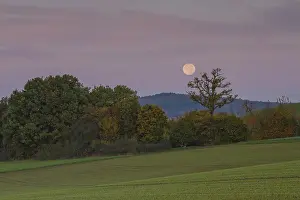 Peaceful German Countryside Drucke: Landscape with setting moon, Offheim