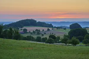 Morning Light In The Forest Drucke: Landscape at sunrise with fields and trees at sunset